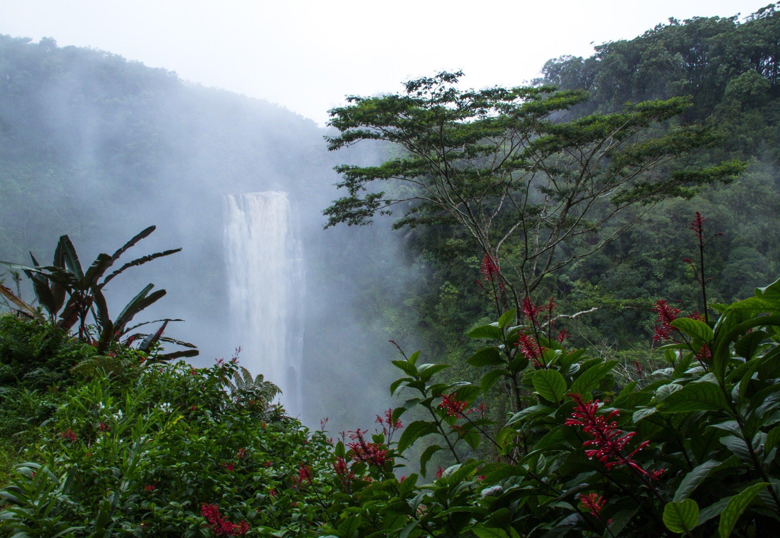 Which Hawaiian Island is Perfect for Your Family Vacation? - Waterfall in Hawaii
