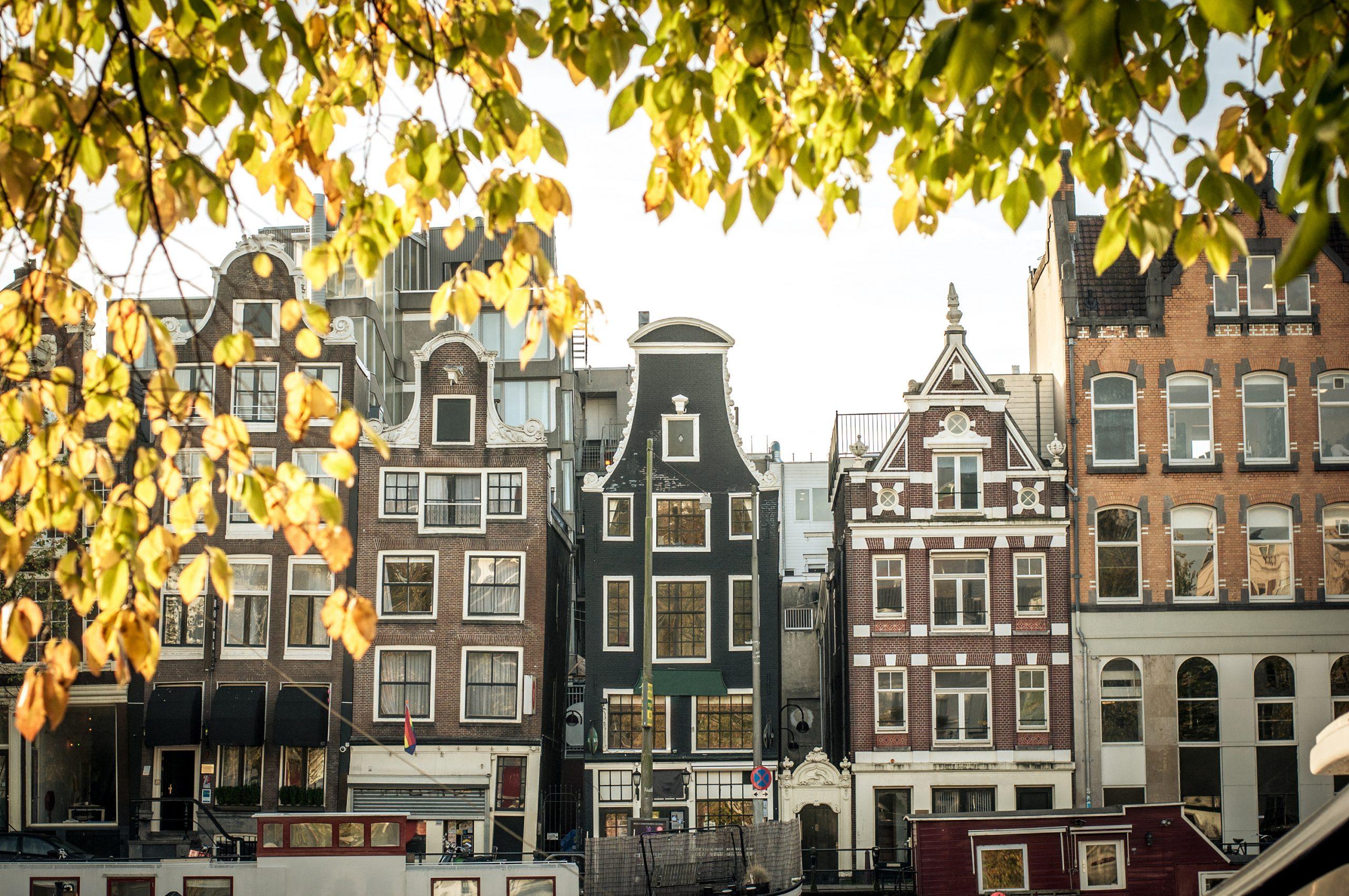 Amazing Things to Do in Amsterdam for Your Family Vacation - Amsterdam row houses