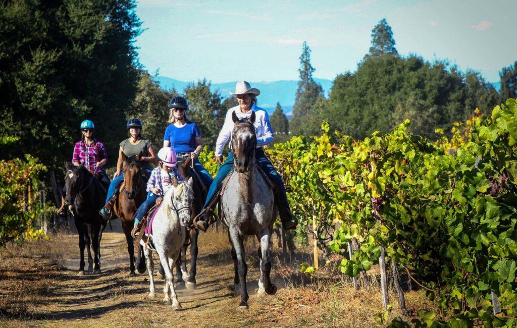 Healdsburg Best small town