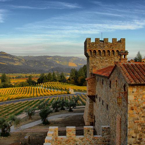 Napa Valley's Best wineries