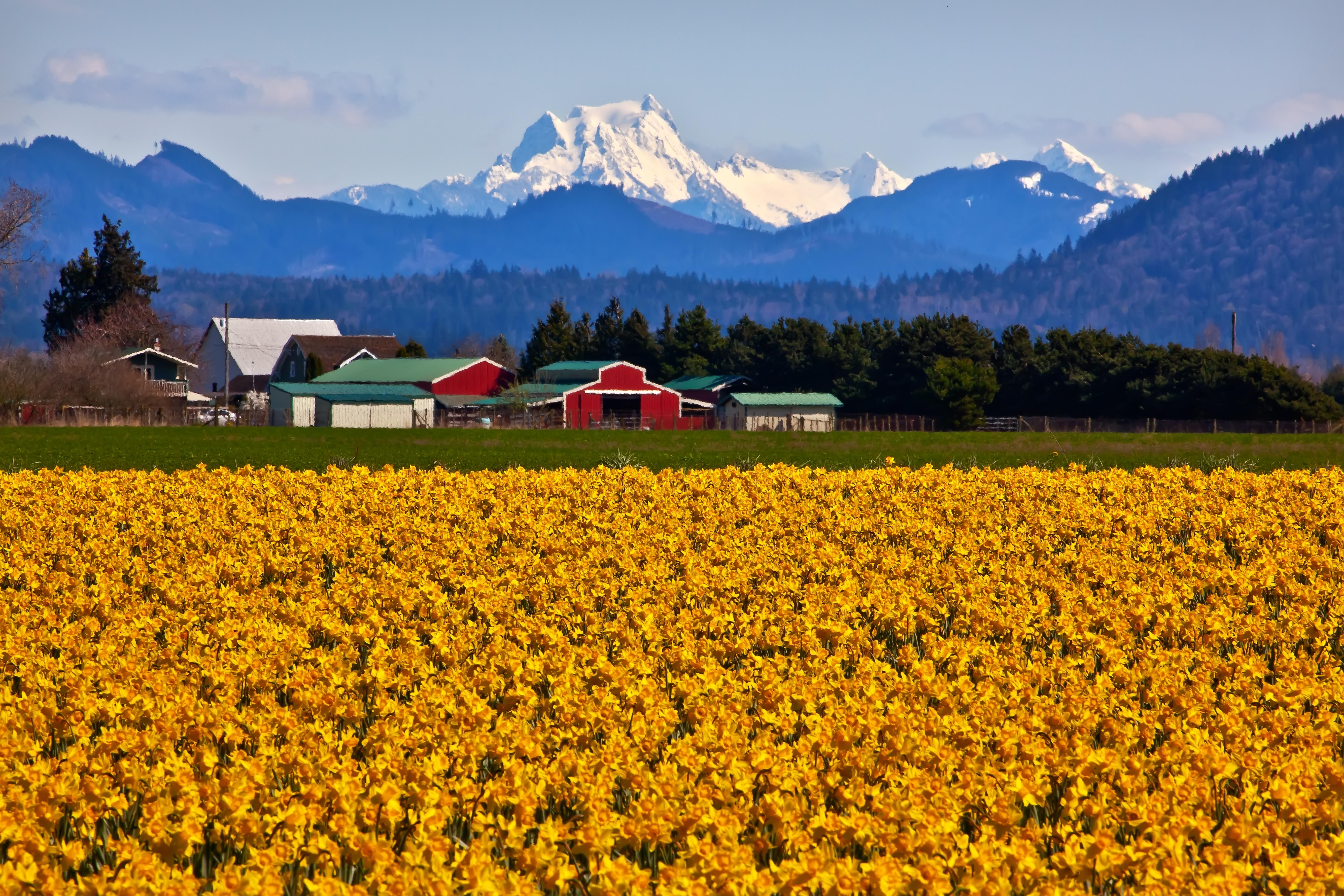 Planning a Family Vacation in the Pacific Northwest Washington