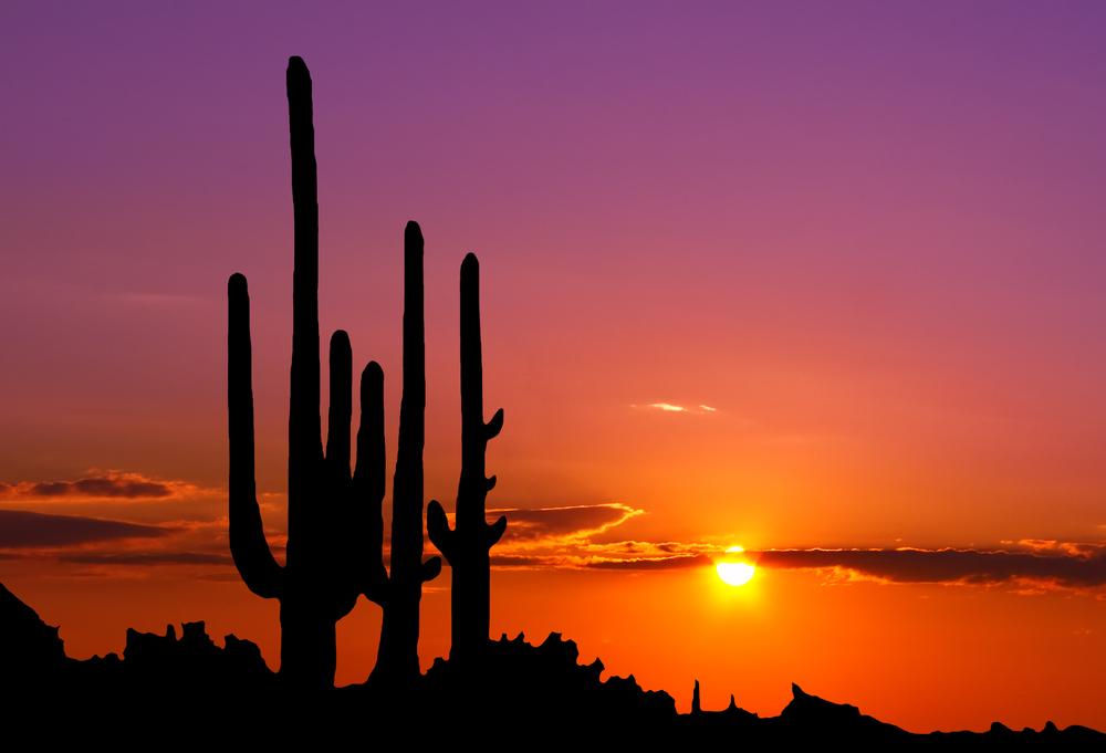 National New Mexico Day – Five Reasons to Visit New Mexico