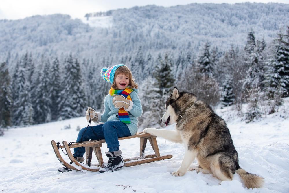 Go Dogsledding in Canada’s Wilderness