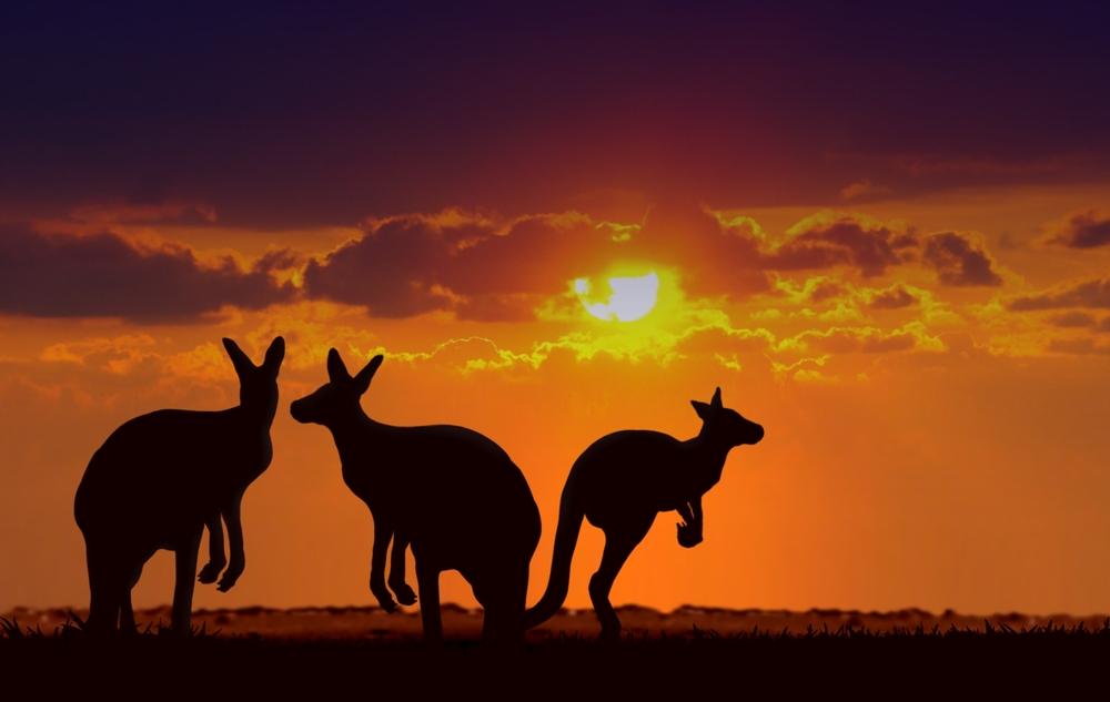 Planning a Vacation in Australia? Check Out My Travel Guide