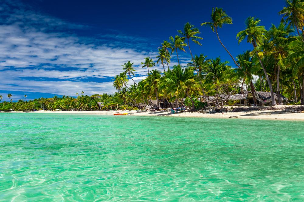 Best Islands in Fiji for Your Family Vacation - Tall coconut palm trees over tropical island resort beach, Fiji