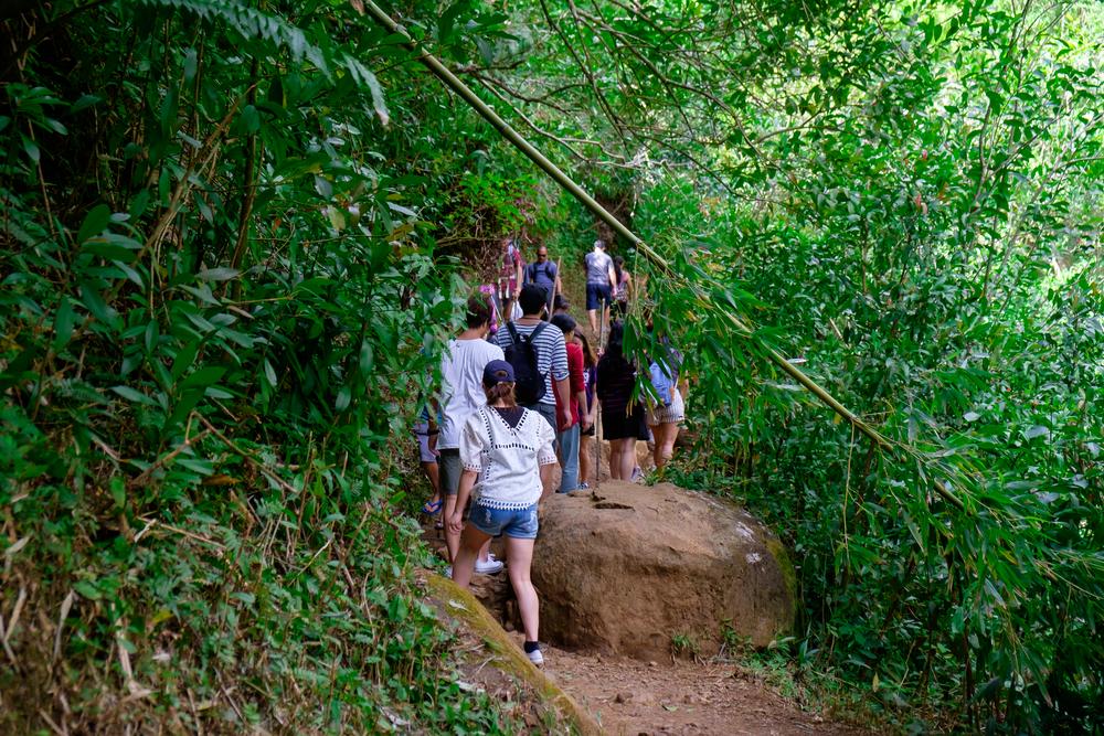Amazing Hawaii Tours That Will Take Your Family Vacation to the Next Level - Manoa Falls Trail Hike on Oahu, Hawaii