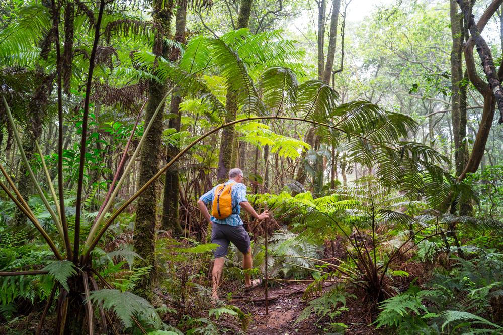 Hiking in Lanai that May Lead to Spectacular Hawaiian Views