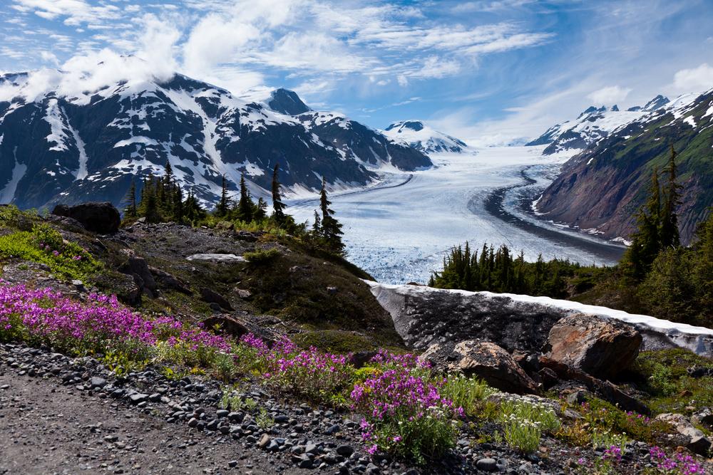 Explore the Alaska Museum of Science and Nature and the Alaska Native Heritage Center