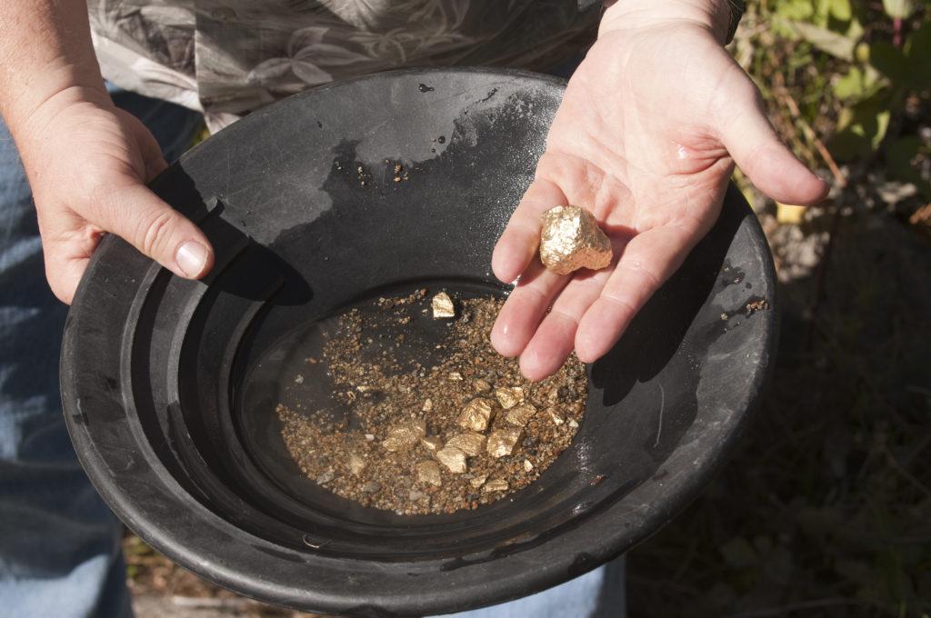 Search for Gold - Panning for Gold