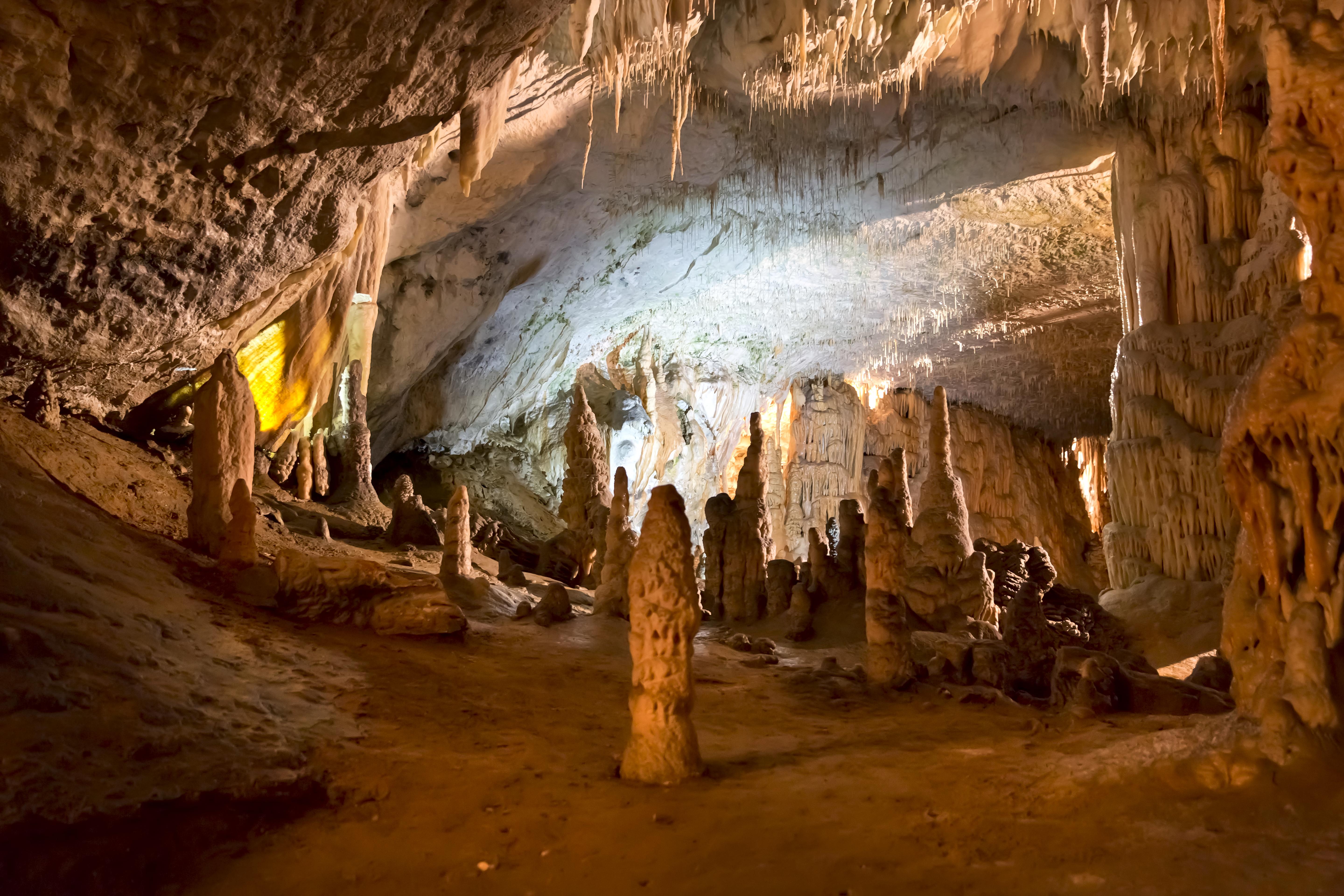 Take a Train Ride Through Postojna Cave - Postojna Cave