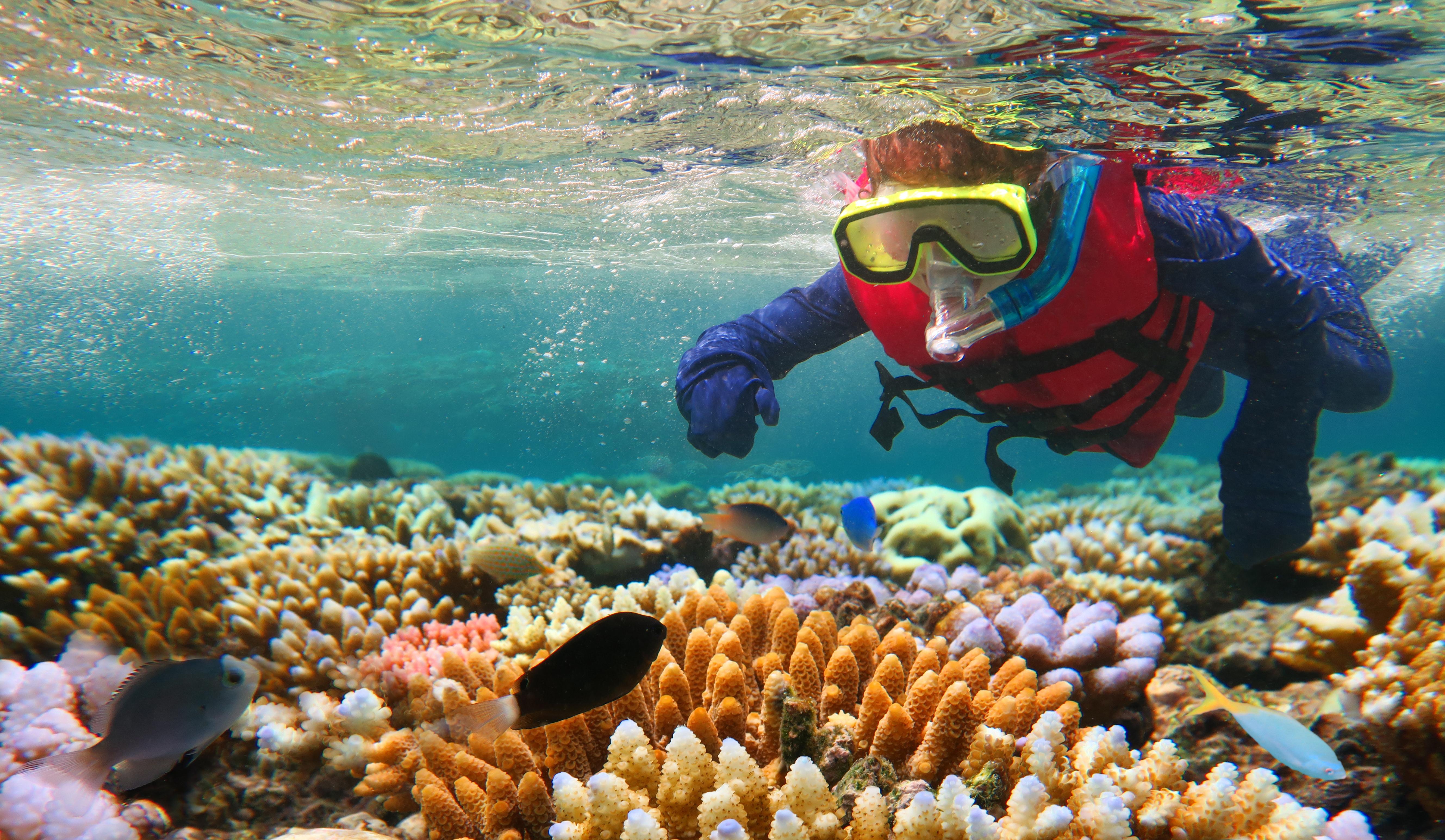 Thrilling Family Vacation Activities - Swimming and Snorkeling at the Great Barrier Reef in Australia