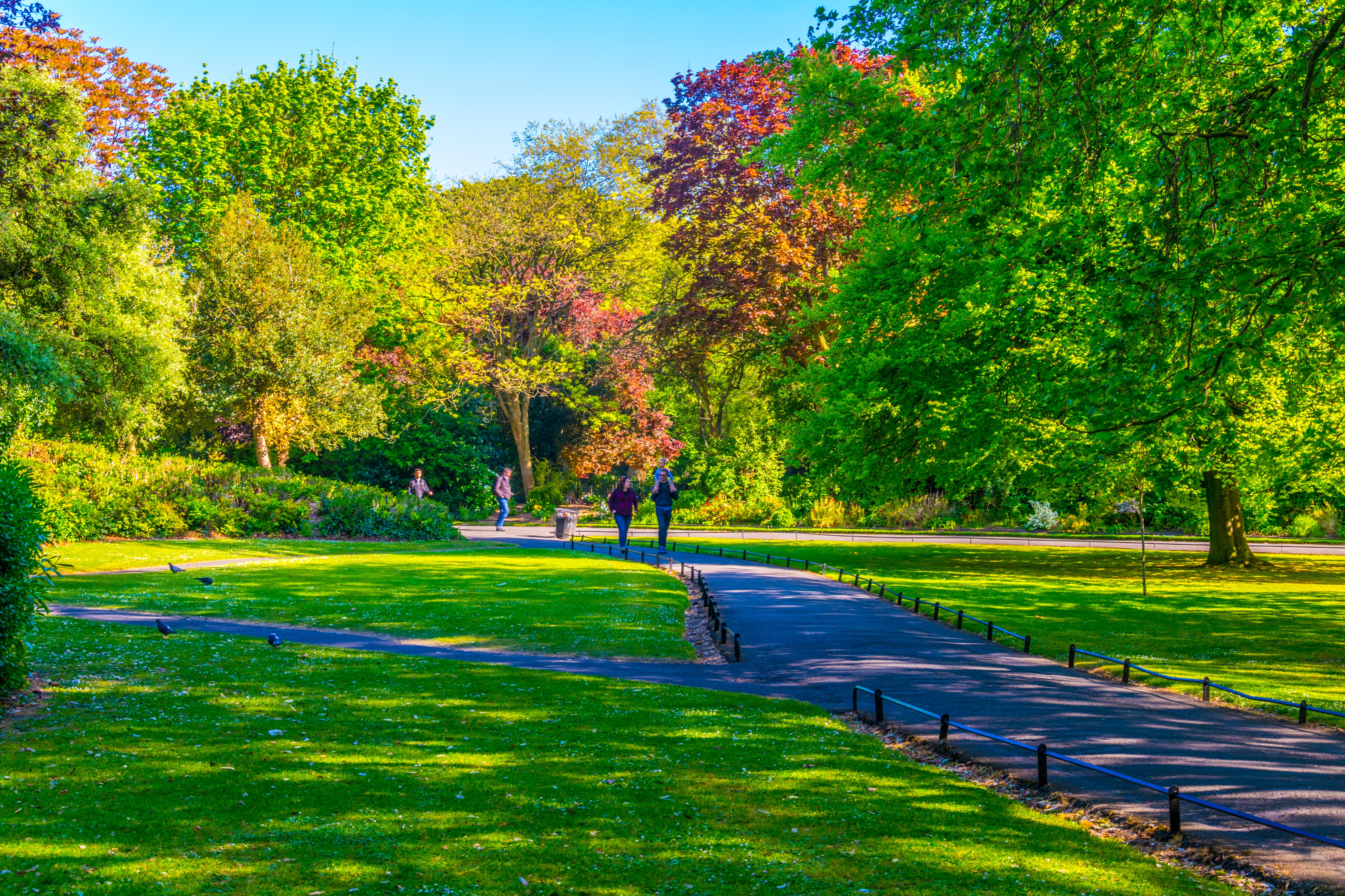 Best Things to Do in Dublin - St Stephen's Green