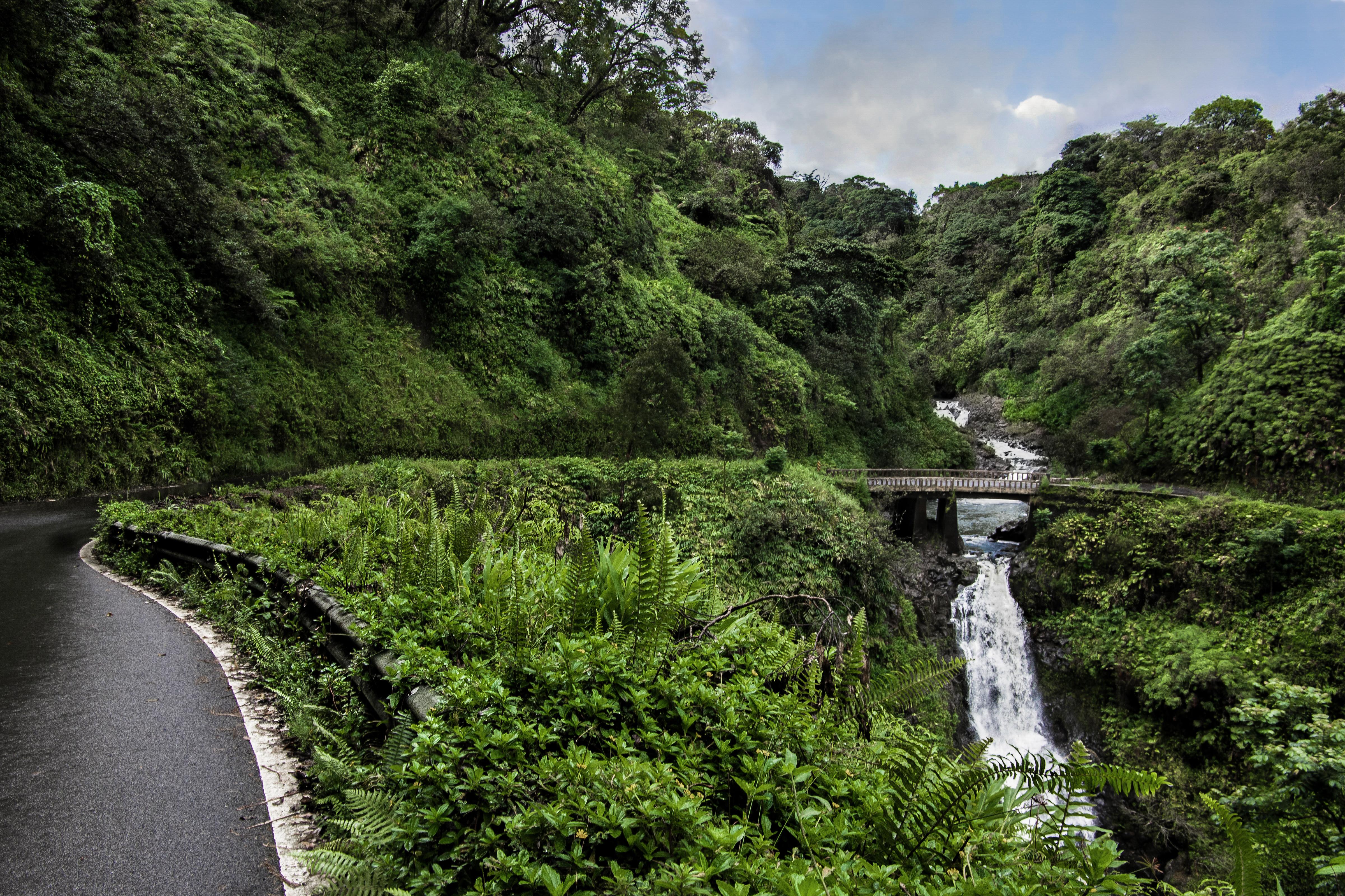 Explore the Road to Hana with Your Family Using My Helpful Guide - Road to Hana One Lane Bridge
