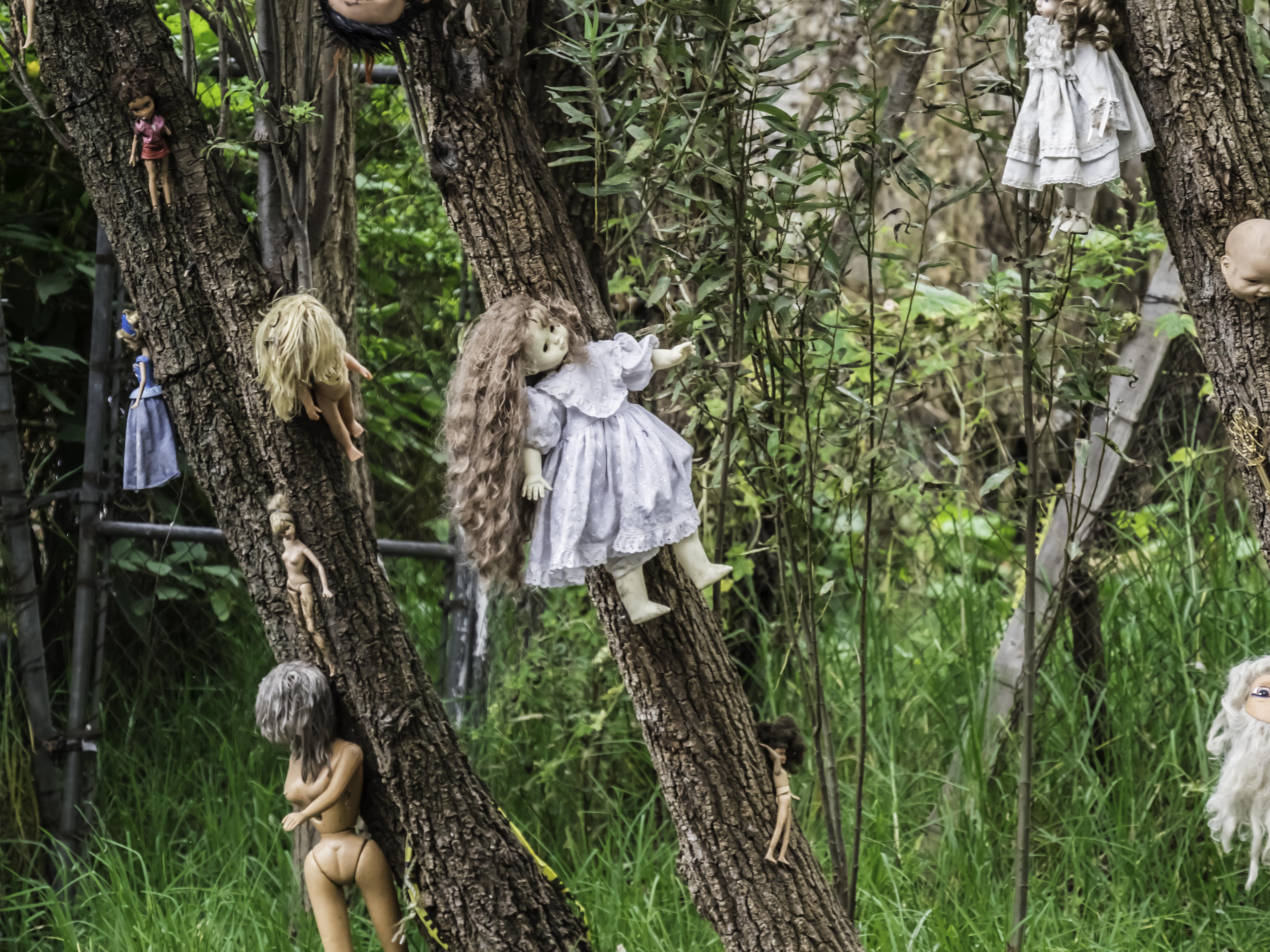 Consider These Unique Places to Visit in Mexico for Your Family Vacation - Isla de las Munecas or Island of the Dolls