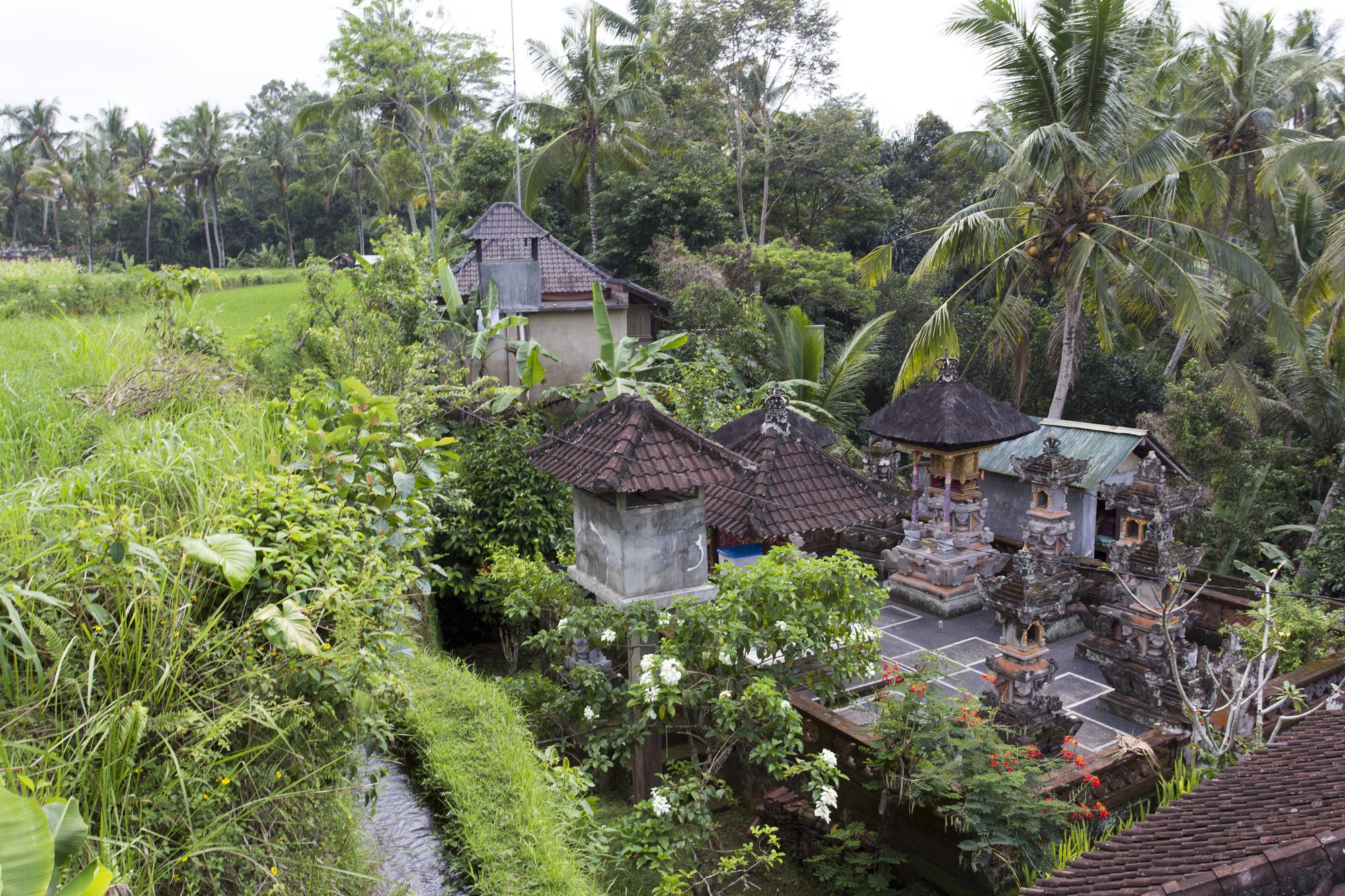 Best Places to Disconnect and Unwind as a Solo Female Traveler - Balinese Temple Near Ubud In Bali, Indonesia